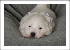 Capture One Session0282